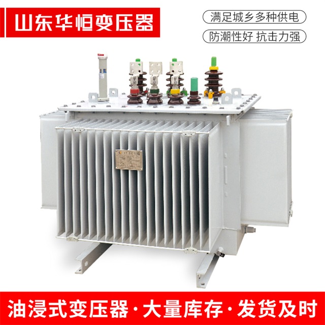 S13-10000/35延津延津延津电力变压器
